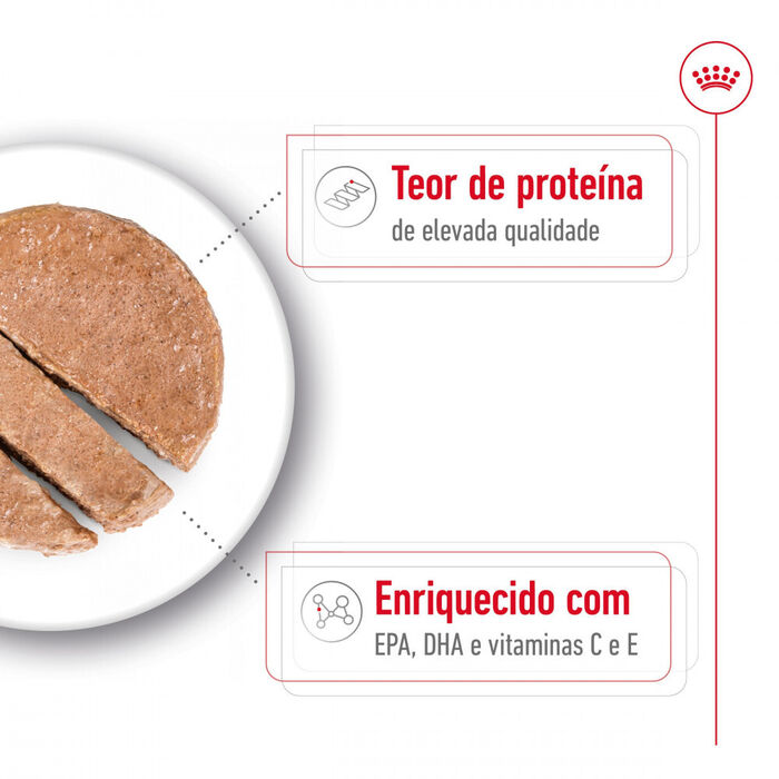 Royal Canin Medium Ageing (Patê) 12 X 410 Gr