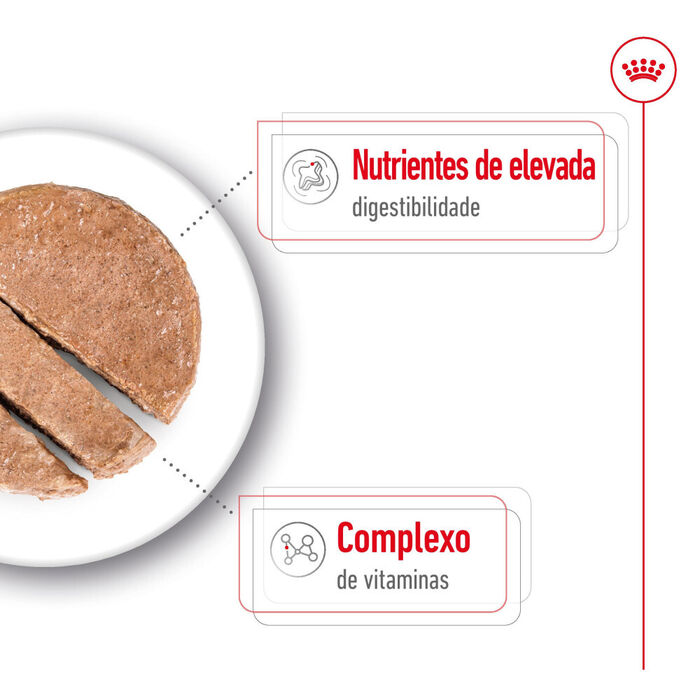 Royal Canin Mini Adult (Patê) 12 X 195 Gr