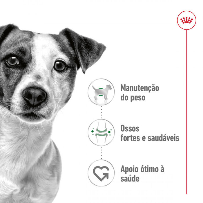Royal Canin Mini Adult 2 Kg