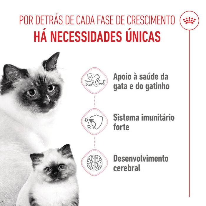 Royal Canin Mother & Babycat 4 Kg