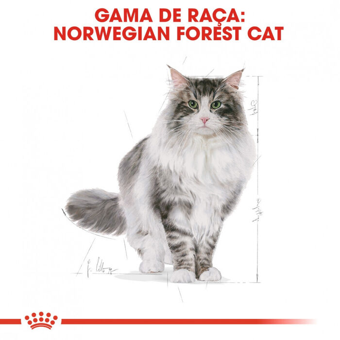 Royal Canin Norwegian Forest Cat 10 Kg