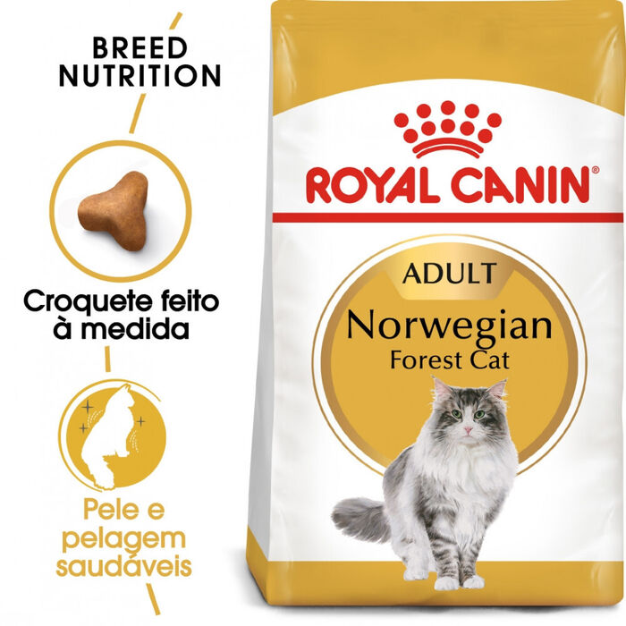 Royal Canin Norwegian Forest Cat 10 Kg