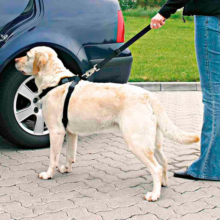Peitoral De Segurança P/ Automovel - Tam. M
