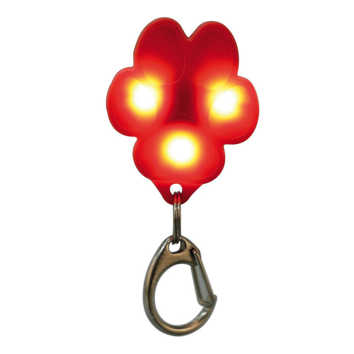 Flasher Usb P/ Caes 3,5 Cm X 4,3 Cm