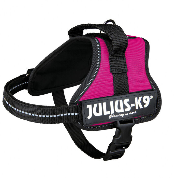 Peitoral Julius-K9 (2Xs/Baby 2) 33-45 Cm (Fuchsia)