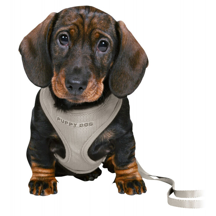 Junior Soft Peitoral C/ Trela P/Cachorro 26–34Cm/10Mm(Cinza)