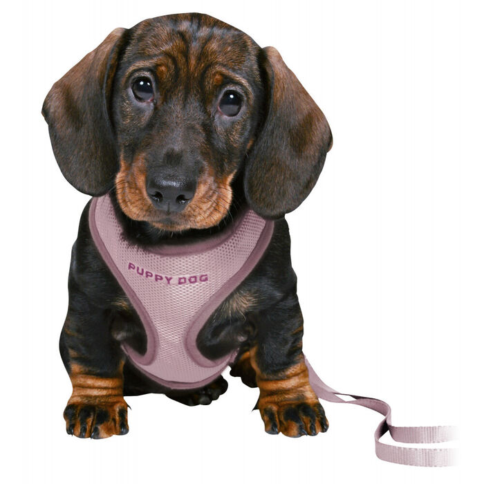 Junior Soft Peitoral C/ Trela P/Cachorro 26–34Cm/10Mm(Lilas)