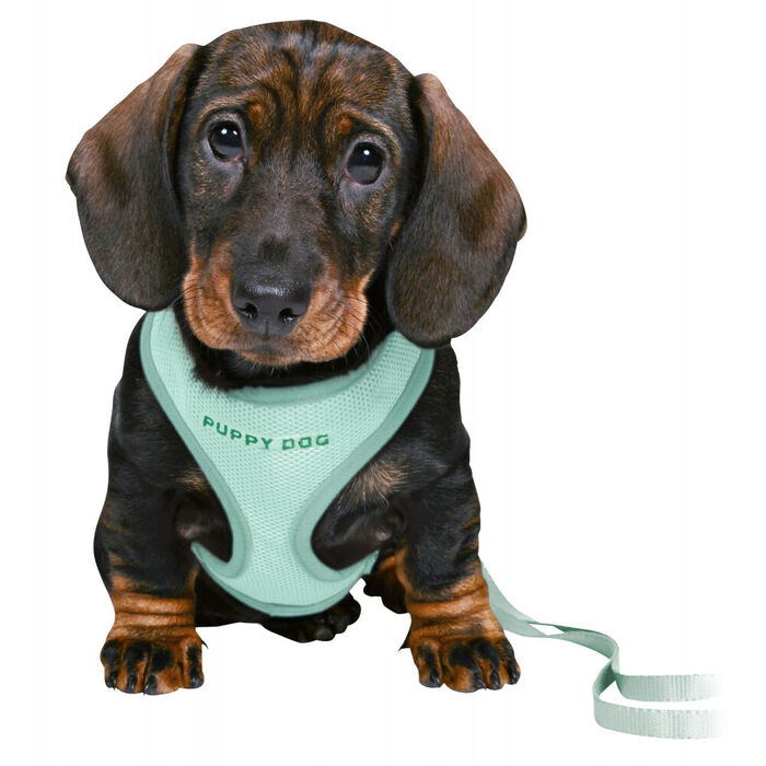 Junior Soft Peitoral C/ Trela P/Cachorro 26–34Cm/10Mm(Menta)