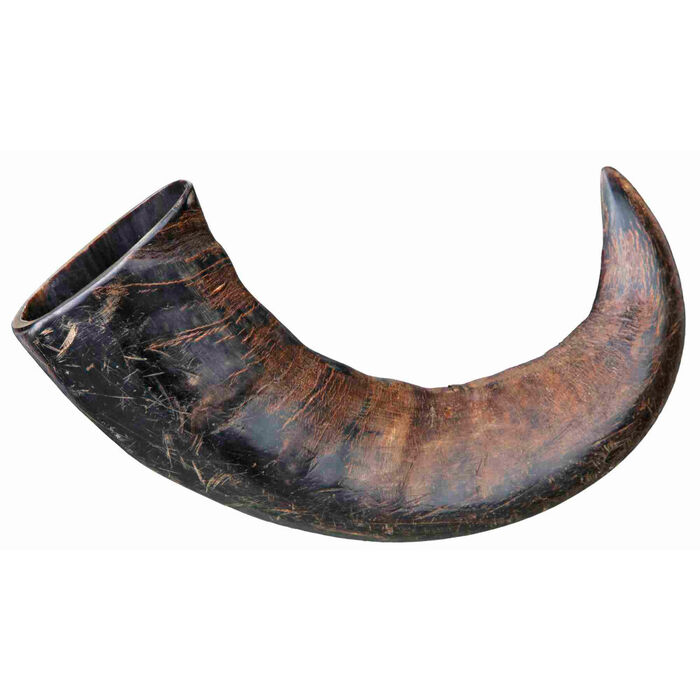 Corno De Bufalo P/ Mascar Grd.