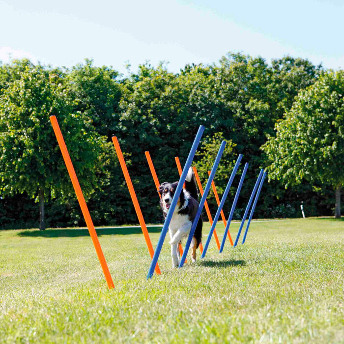 Postes Slalom P/ Agility 115X3 Cm (Emb. C/ 12)