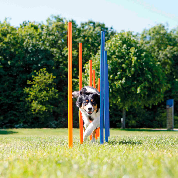 Postes Slalom P/ Agility 115X3 Cm (Emb. C/ 12)