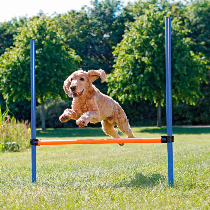 Barreira P/ Agility 123X115 Cm / 3 Cm