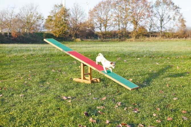 Balance P/ Agility 300X54X34 Cm