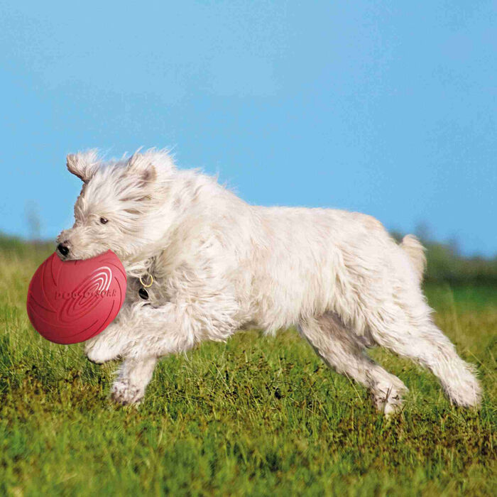 Disco/Frisbee Flutuante Em Borracha Natural - Ø 24 Cm