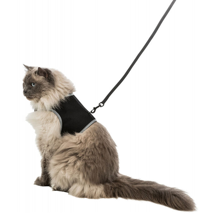 Peitoral+Trela Xxl Nylon P/ Gatos 36-54 Cm .