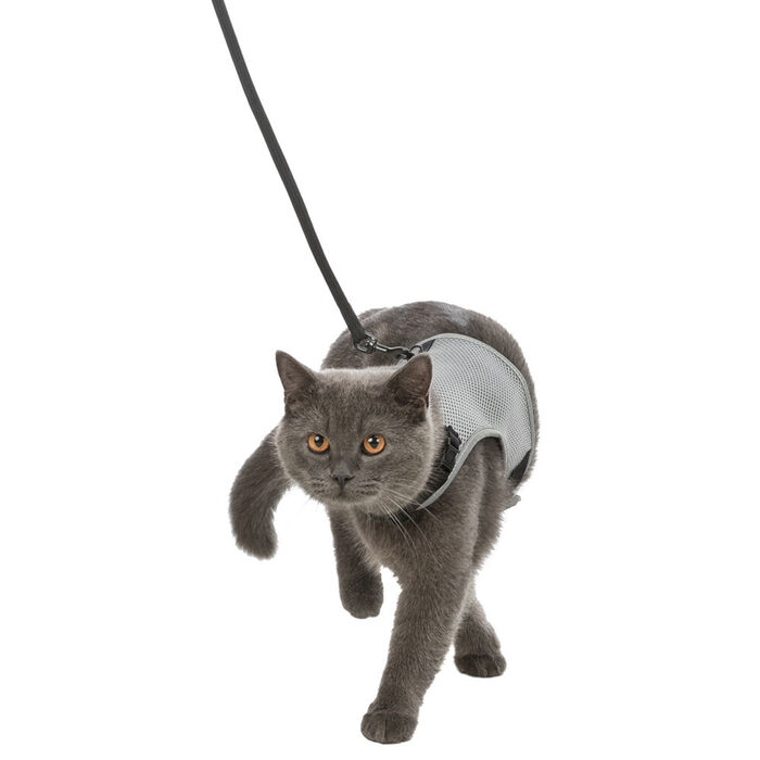 Peitoral+Trela Xxl Nylon P/ Gatos 24-42 Cm