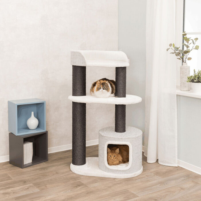 Arranhador Xxl Cara P/ Gatos (Branco/Cinza)