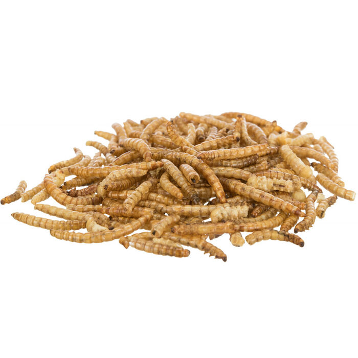 Vermes Da Farinha (Alim. Rico Proteinas) P/ Hamsters 200 Gr