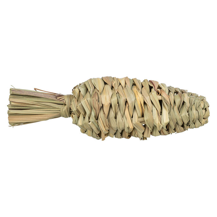Brinquedo De Ervas Cenoura P/ Porq. India E Coelhos 20Cm/6Cm