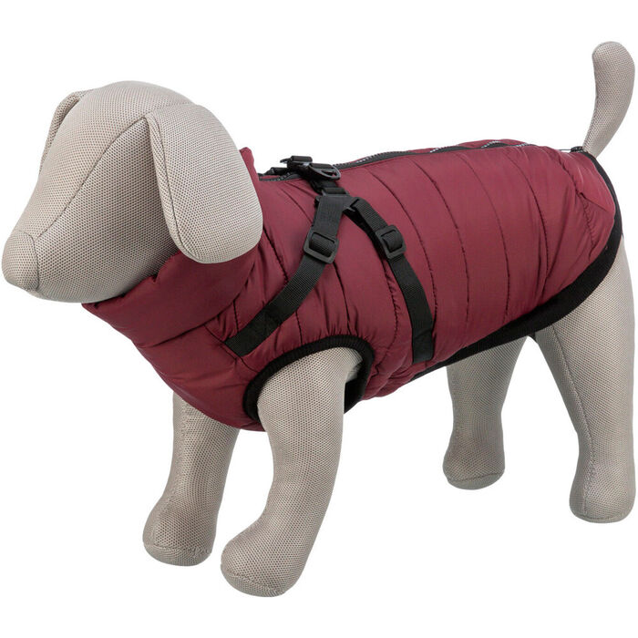 Capa Pirou C/ Peitoral 40 Cm (Vinho)