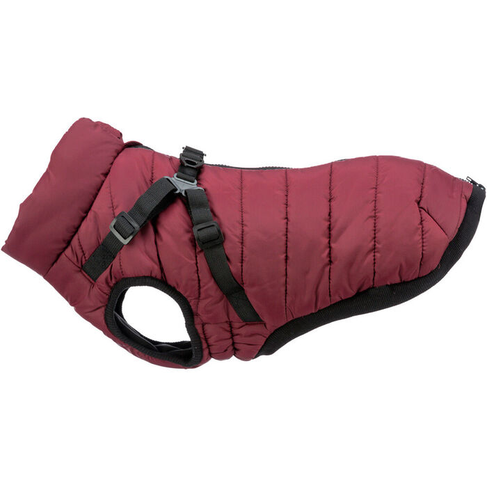 Capa Pirou C/ Peitoral 40 Cm (Vinho)