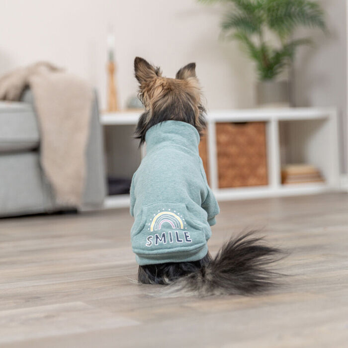 Sweatshirt Littleton 33 Cm (Menta)