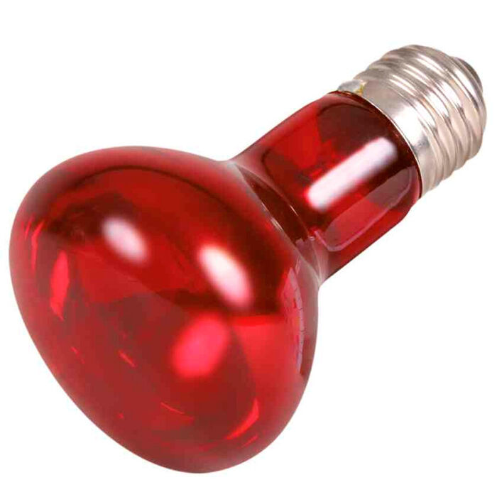 Reptiland Infrared Heat Spot-Lamp, Red - 35W