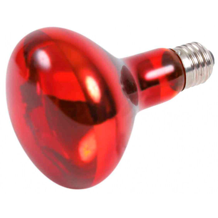 Reptiland Infrared Heat Spot-Lamp, Red - 100W