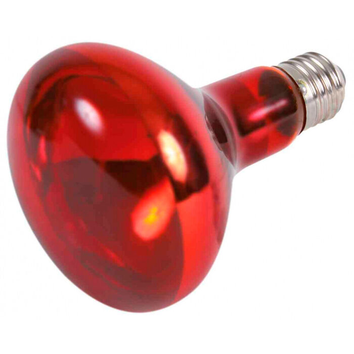 Reptiland Infrared Heat Spot-Lamp, Red - 150W