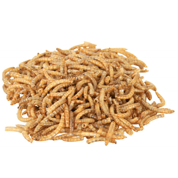 Vermes Da Farinha (Alimento Rico Em Proteinas) 70 Gr