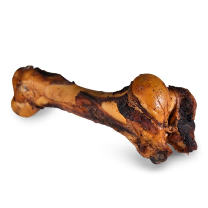 Osso Jurassico Fumado - Jumbo (Aprox. 1,9 Kg)