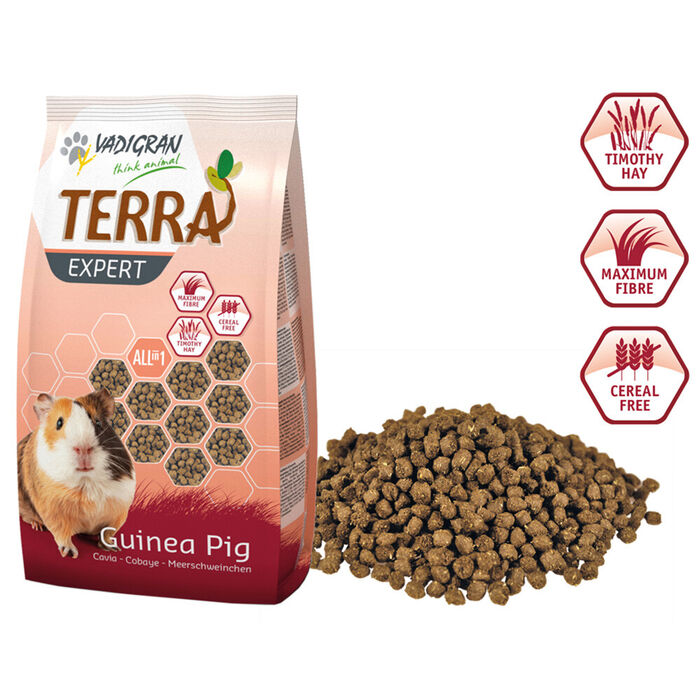 Terra Expert - Alimento Extrudido P/ Porq. India 900 Gr
