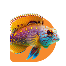 website image