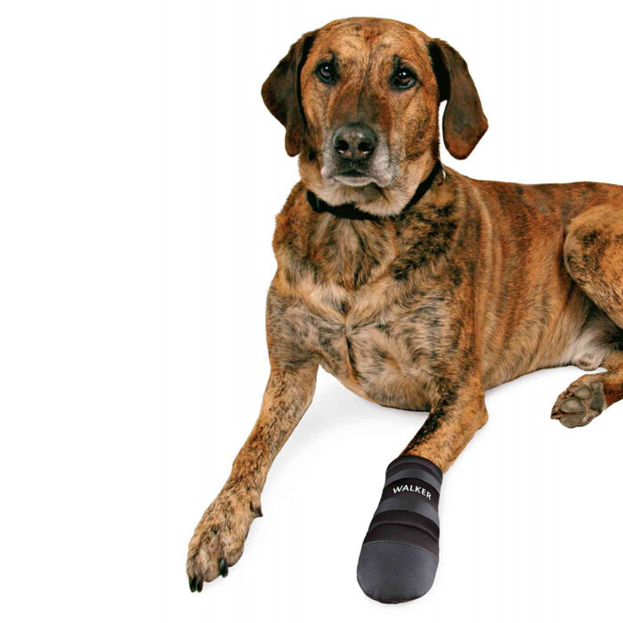 Walker - Botas Em Neoprene P/ Caes - Tam. Xxl (Preto)