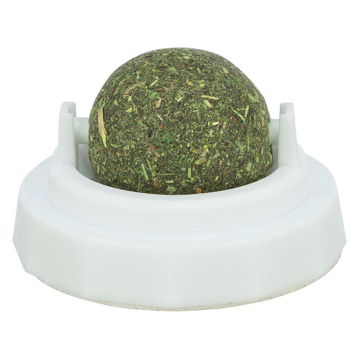 Bola De Catnip C/ Suporte Ø5 Cm
