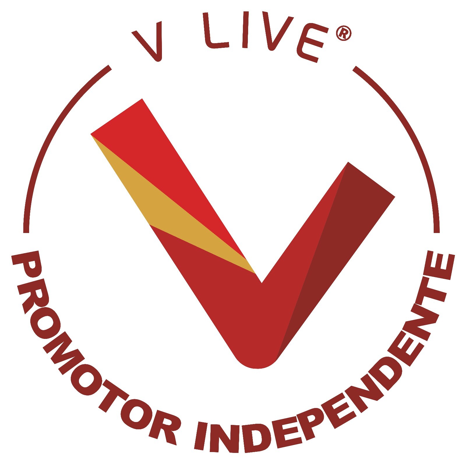 website image