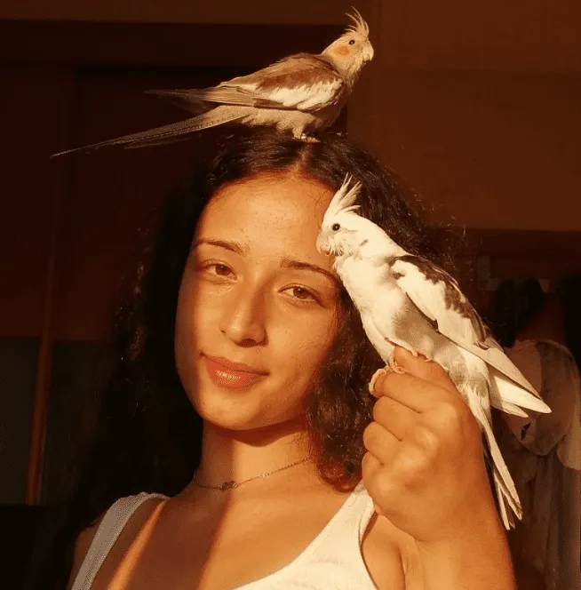 website image