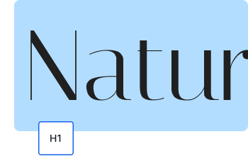 website image